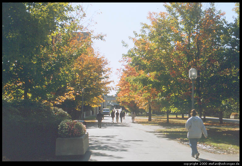 University of Massachusetts Campus, Amherst, MA